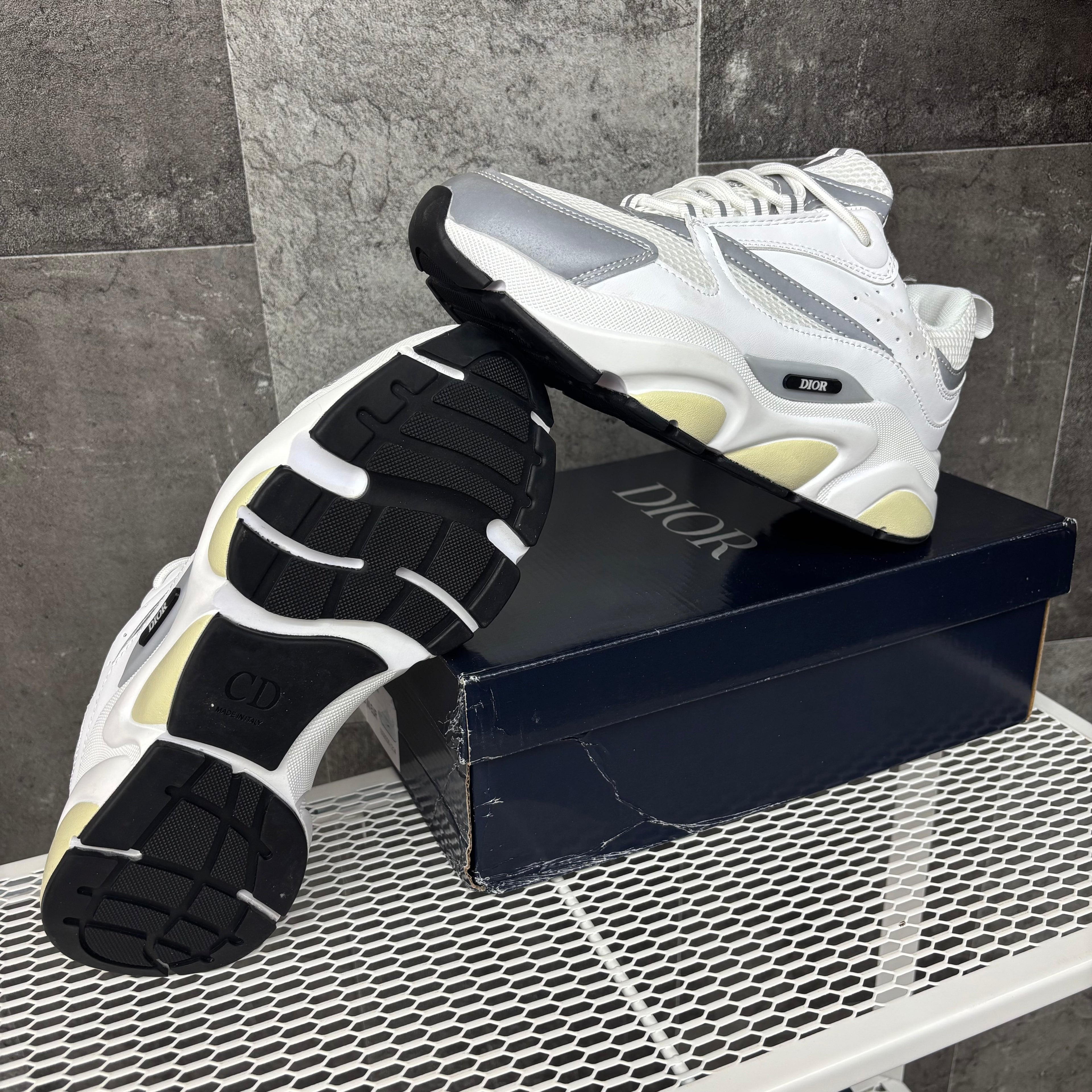 DIOR B22 WHITE