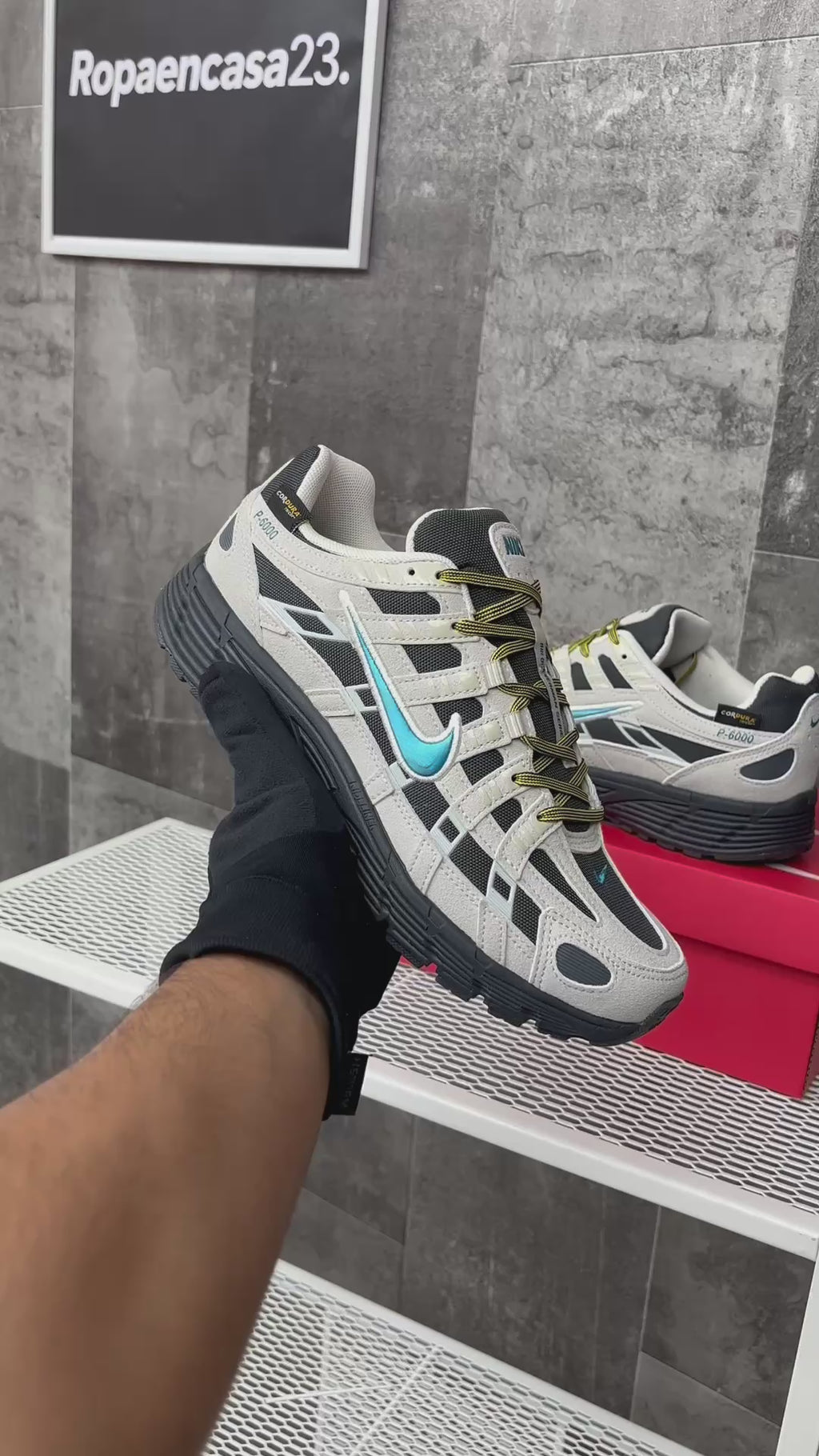 P-6000 ZEBRA